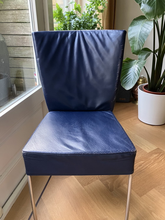 Image 1 of 6 Mountain Spike