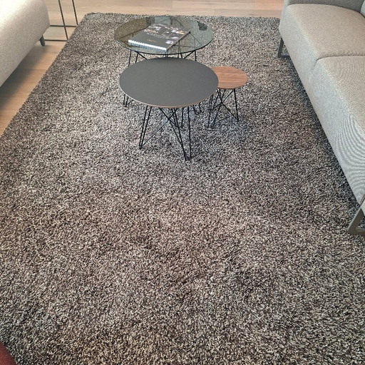 Vloerkleed Kinast Teppich Bison – vloerkleden en tapijten, Wool (photo 2 of 3)