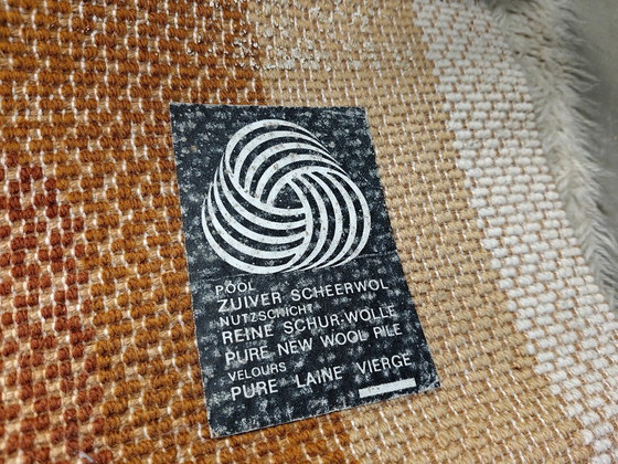 Image 1 of Vintage modernist rug, Belgium, 1970s 