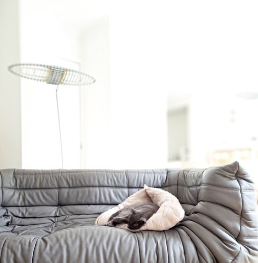 Original Ligne Roset Togo Ledersofa, mittelgroß, 2-Sitzer mit Armlehnen und Hocker in grauem Leder