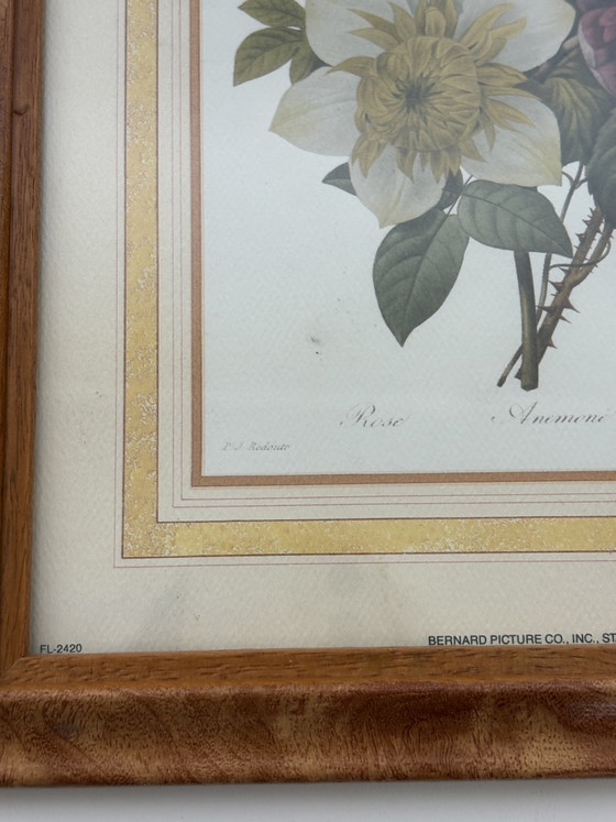 Image 1 of Coppia di stampe botaniche vintage Pierre-Joseph Redouté – Bernard Picture Co. (24x29 cm)
