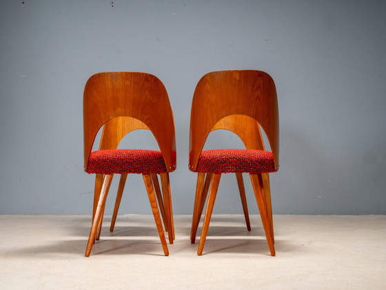 Image 1 of Chaises de salle à manger Antonín Šuman, Tatra Nábytok, Tchécoslovaquie 1960