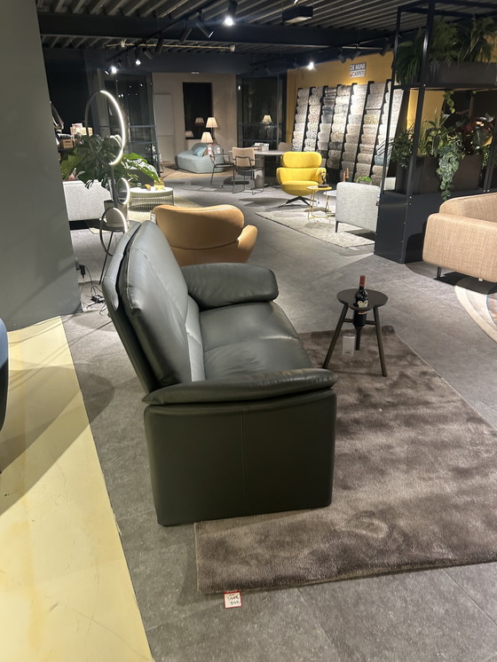 Image 1 of Leolux catalpa