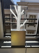 Œuvre d'art de Diederik Storms « Lumineux »