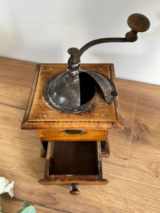 Peugeot coffee grinders – Kitchen accessories, Wood, Metal, Vintage (photo 6 of 6)