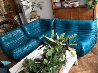 Image 1 of Togo Ligne Roset