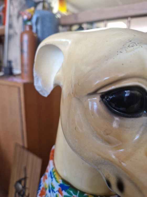 Image 1 of Bassano Greyhound