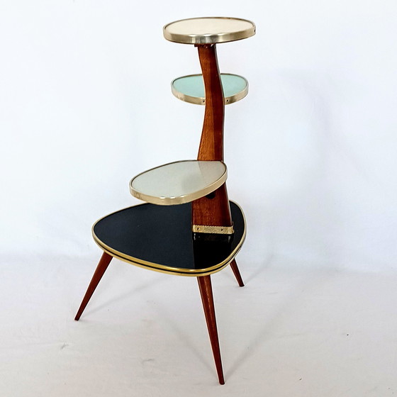 Image 1 of Fifties Plant Table