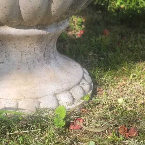 Image 1 of Vazen Medicis Zeer Groot Paar