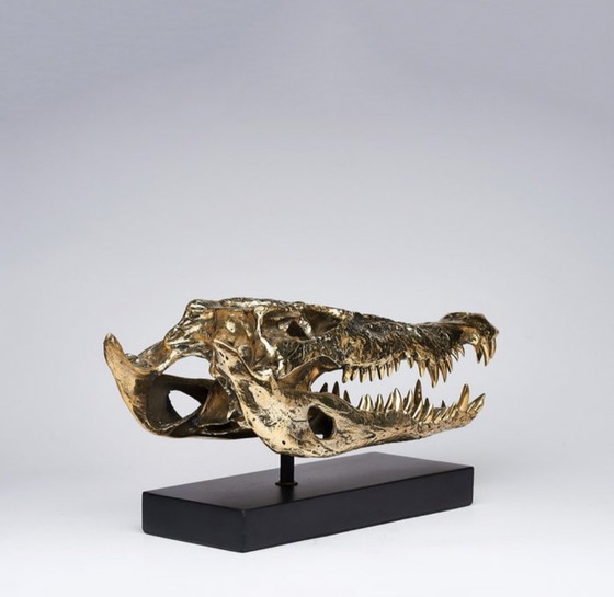 Image 1 of Sooka Sculpture, saltwater crocodile skull 37 cm bronze