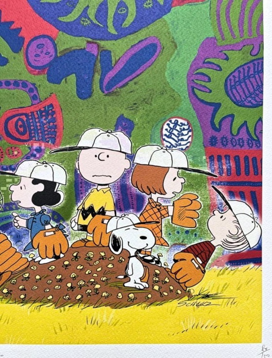 Image 1 of Death Nyc - Charlie Brown With Friends - Limited Edition With Certificate