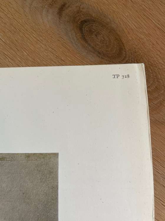 Image 1 of Pablo Picasso (1881-1973), Arlecchino, 1917, Copyright The Twin Editions, Diritti di riproduzione Riserve SPADEM Parigi, TP