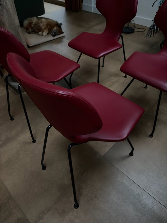4 sedie Cavalletta Design on Stock, Sedie da pranzo, Pelle, Rosso (foto 2 di 8)