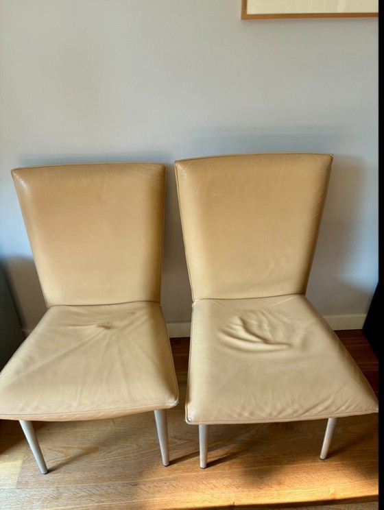 Image 1 of sedie da pranzo Rolf Benz