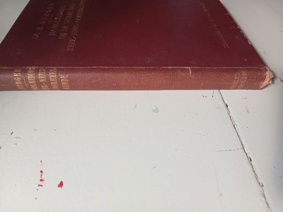 Libri antichi – Libri d'arte, Carta (photo 9 of 10)