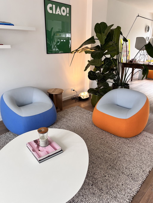 Set of Artifort Swamp lounge chairs