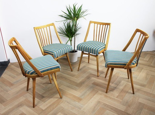 4x Chairs TON "Blue Stripes" (rayures bleues)