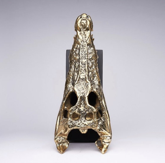 Image 1 of Sooka Sculpture, saltwater crocodile skull 37 cm bronze