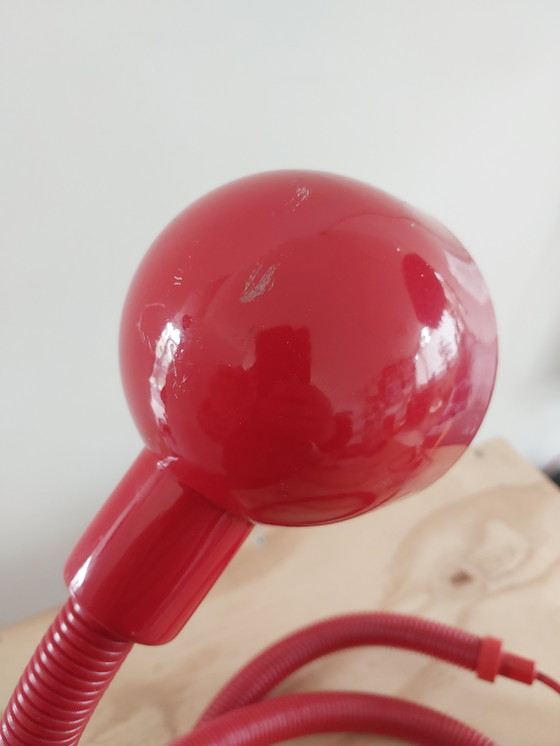 Image 1 of Rotes Schlangenlicht