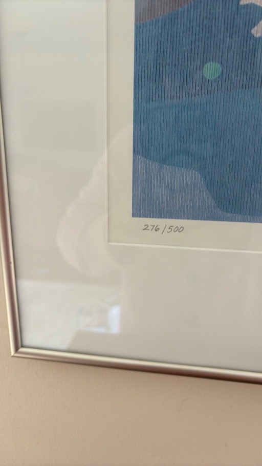peter lynn kleurzeefdruk ingelijst schilderij