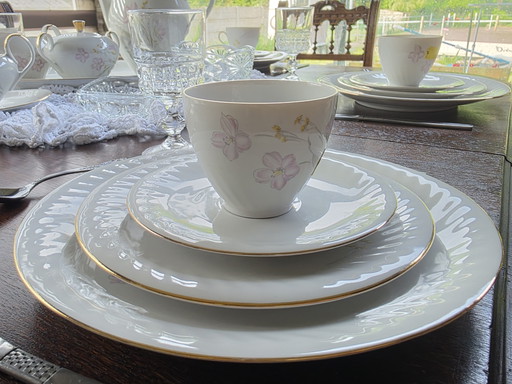 Beautiful pre-war 1918-1945 Arzberg 12-person coffee/dinner service