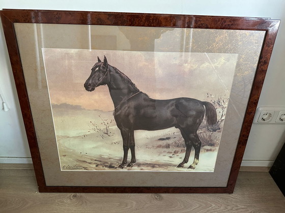 Image 1 of 7 different paintings by Otto Eerelman