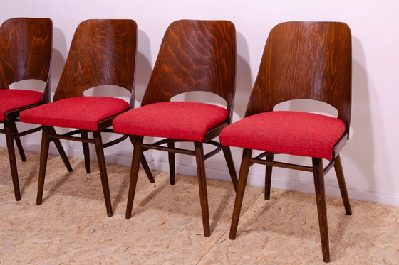 Image 1 of Ensemble de 4 chaises de salle à manger, Radomir Hofman, 1960