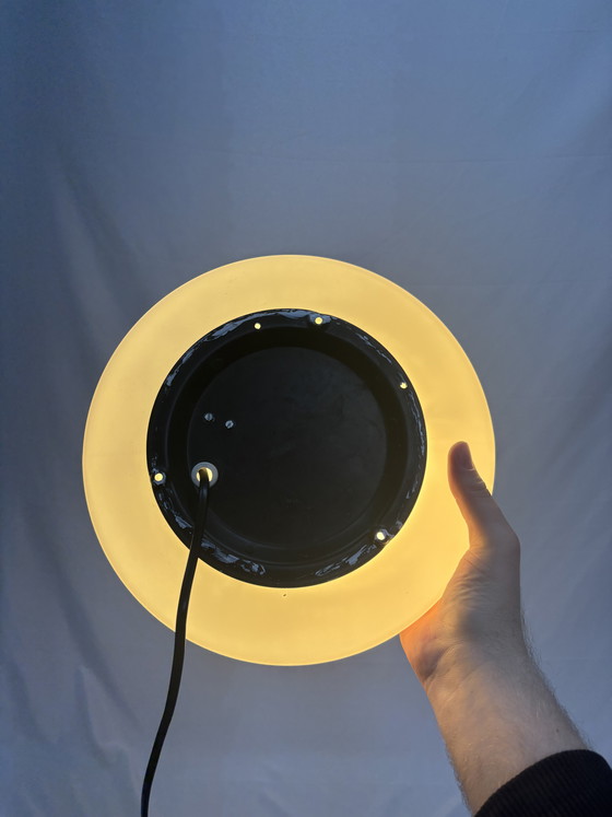 Image 1 of Peill und Putzler Seerose Artichoke ceiling lamp or table lamp