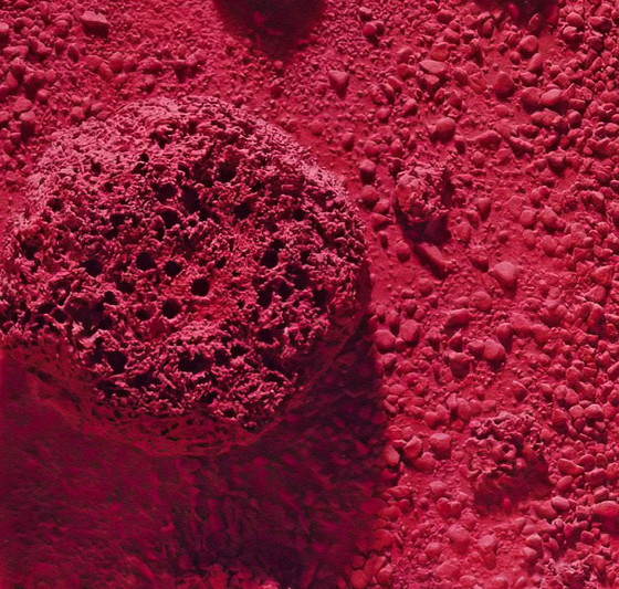 Yves Klein Relief-Éponge Rose (RE 26), 1960 - Poster 50×70 Cm – Affiches, Paper (photo 4 of 7)