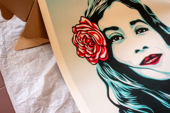 Noi il popolo (difendiamo la dignità) - Shepard Fairey - Obbedisci - Poster 61 × 91 cm – Paper (photo 10 of 12)