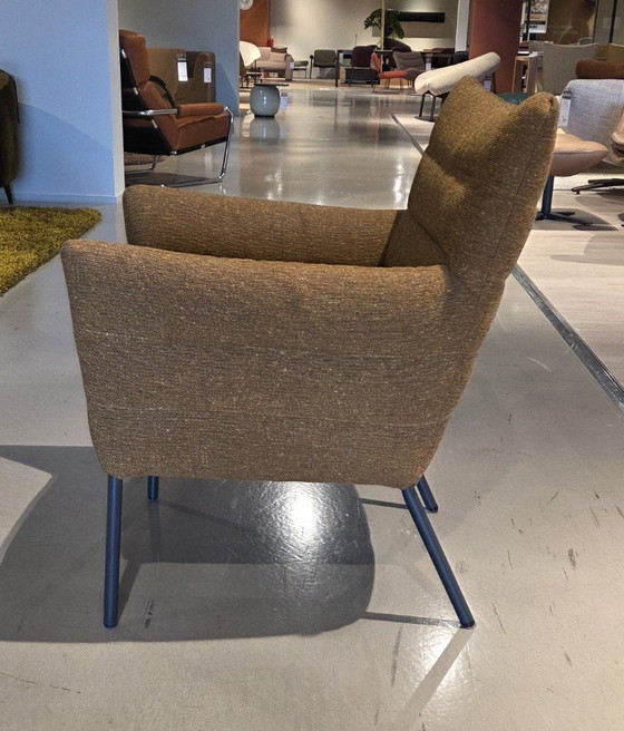 Label Cocoon Lounge fauteuil – Label Vandenberg (photo 3 of 4)