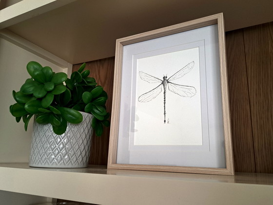 Image 1 of Dragonfly illustration | Dragonfly illustration art