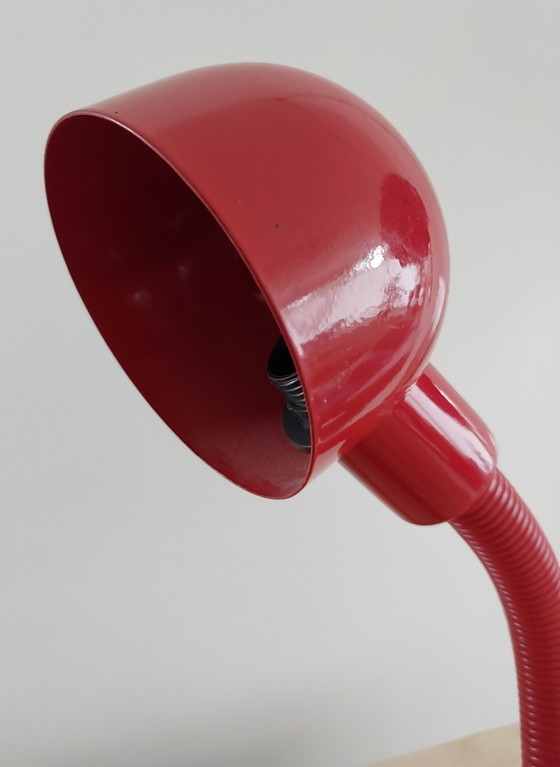 Image 1 of Rotes Schlangenlicht