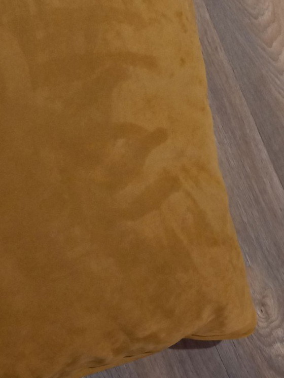 Image 1 of Leolux Evidence Stripe Curry