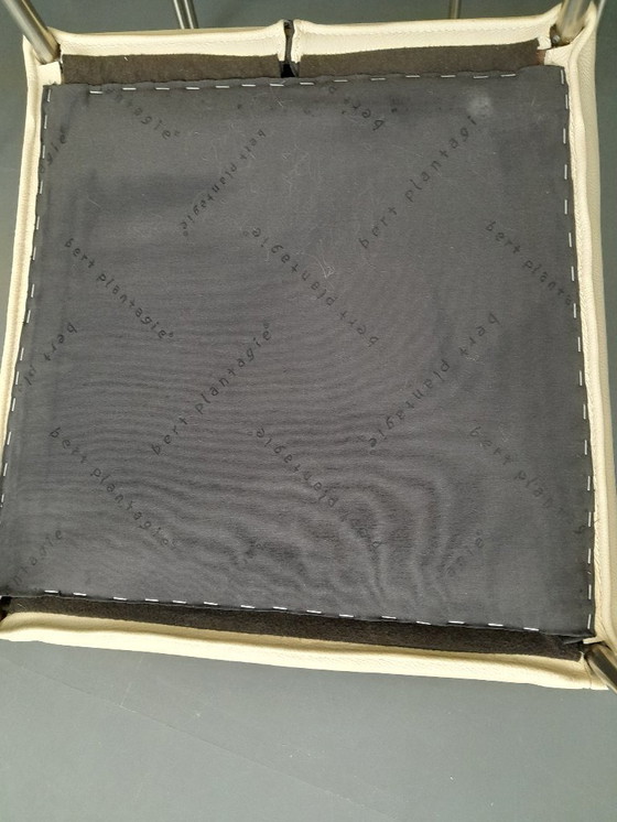 Image 1 of Plantagie Leer wit 6 stuks