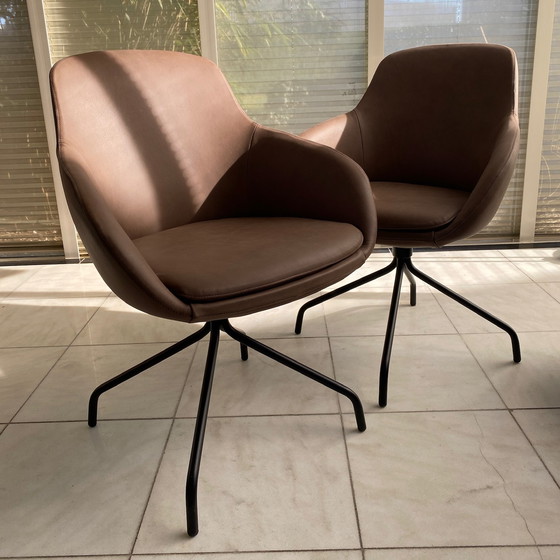 Image 1 of Sedia da pranzo Bora Just Design (set da 2)