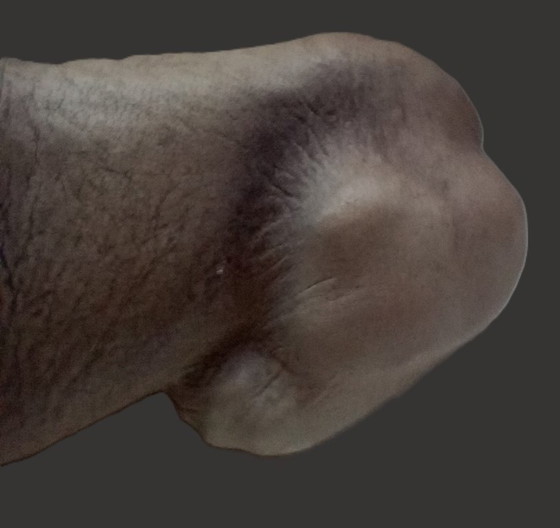 Image 1 of Borsa vintage in pelle Greyhound Château modellata a mano di metà secolo (Canada)