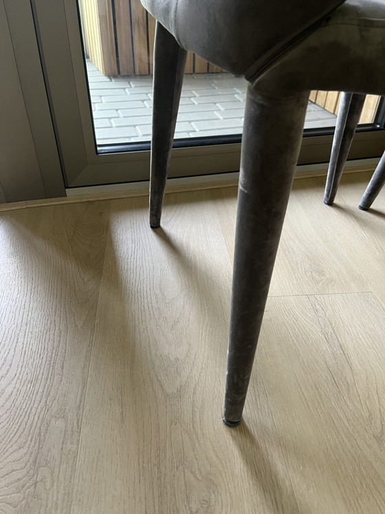Image 1 of Silla sagrada Pols Potten de terciopelo gris