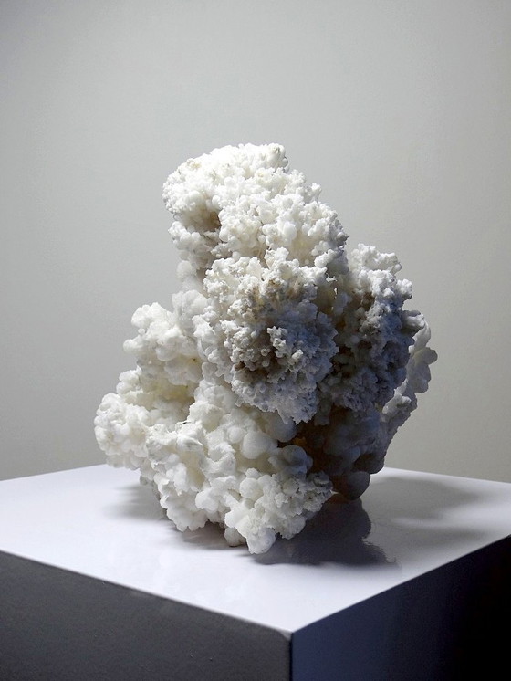 Image 1 of Collezione di minerali, esemplare antico di aragonite bianca dal Messico, +3,2 kg