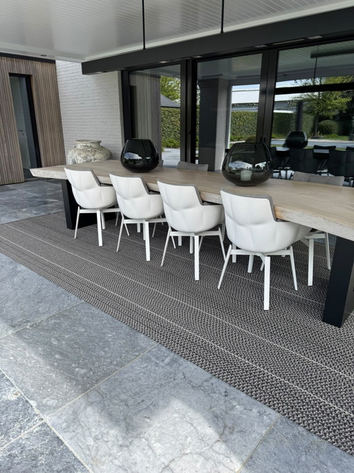 8 sillas Husk B&B Italia