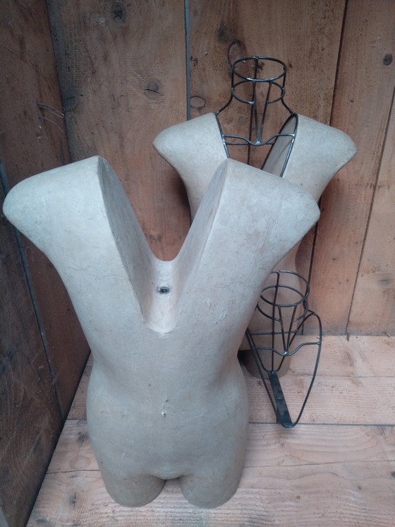Image 1 of Torsos de maniquí con abertura en V - juego de 3