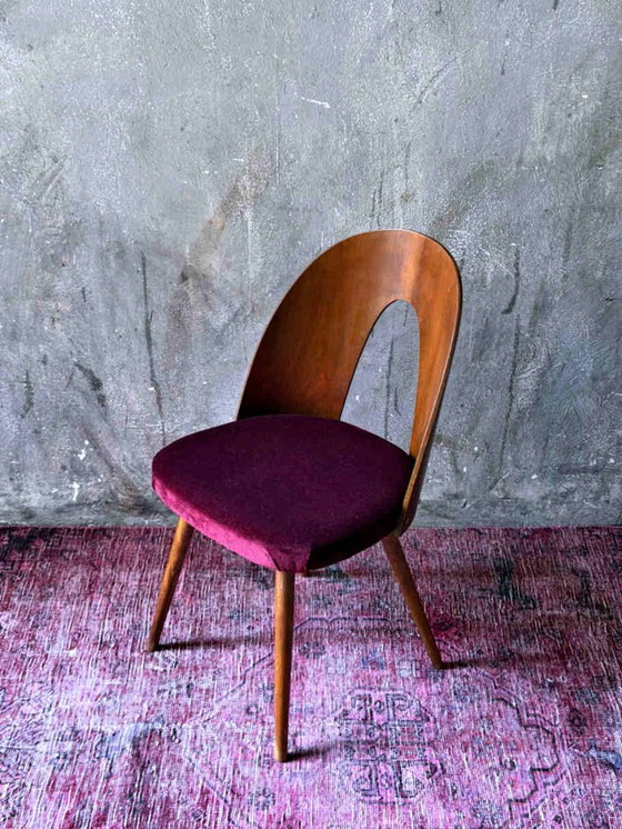 Antonín Šuman Stuhl 1967 für MIER Topoľčany, Mid Century Stuhl Nussbaum, Restauriert, Tschechischer (photo 3 of 9)