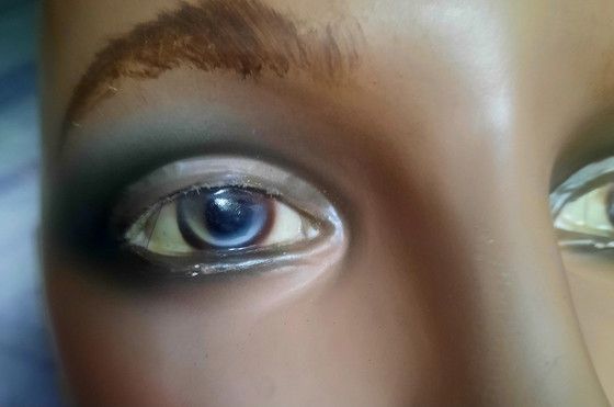 Image 1 of Mannequin torso