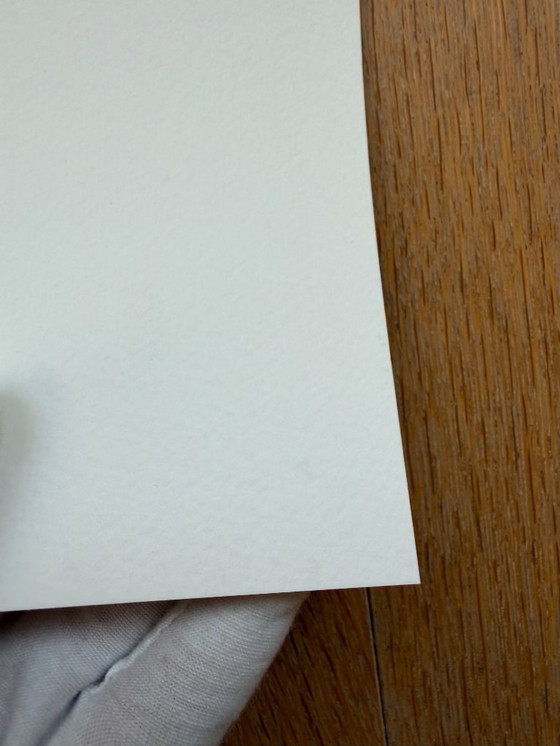 Image 1 of Anne Montiel, Sans Titre, 2008, gedruckt in Belgien