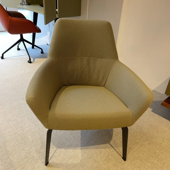 Image 1 of bert plantagie Zyba Low armchair