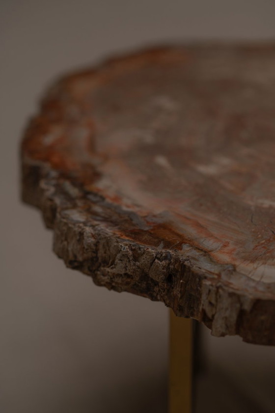 Image 1 of Table basse rare en bois pétrifié - années 1970