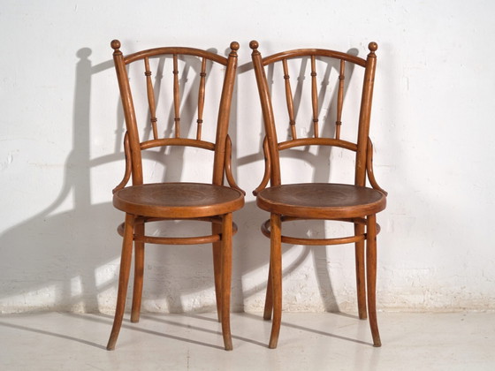 Antique set of 2 bentwood chairs – Central Europe, circa 1900 – Dining chairs, Metal (photo 24 of 40)