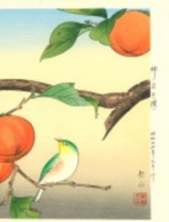 Image 1 of Originele houtsnede, uitgegeven door Watanabe - Ide Gakusui Kaki en Japanse witogen - jaren 1980