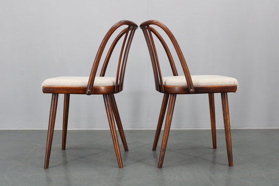 Image 1 of 1960 Antonin Suman Ensemble de six chaises de salle à manger en hêtre, restaurées