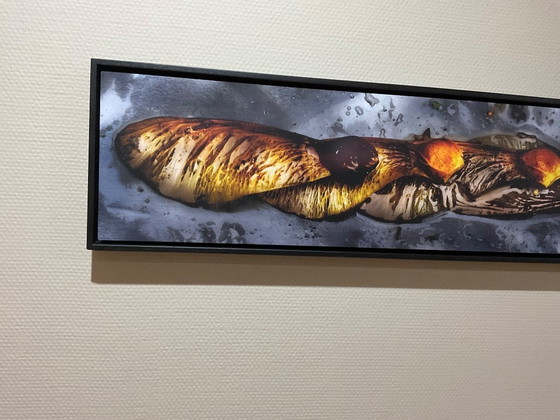 Image 1 of Photo on Aluminium in Special Black Frame Stock